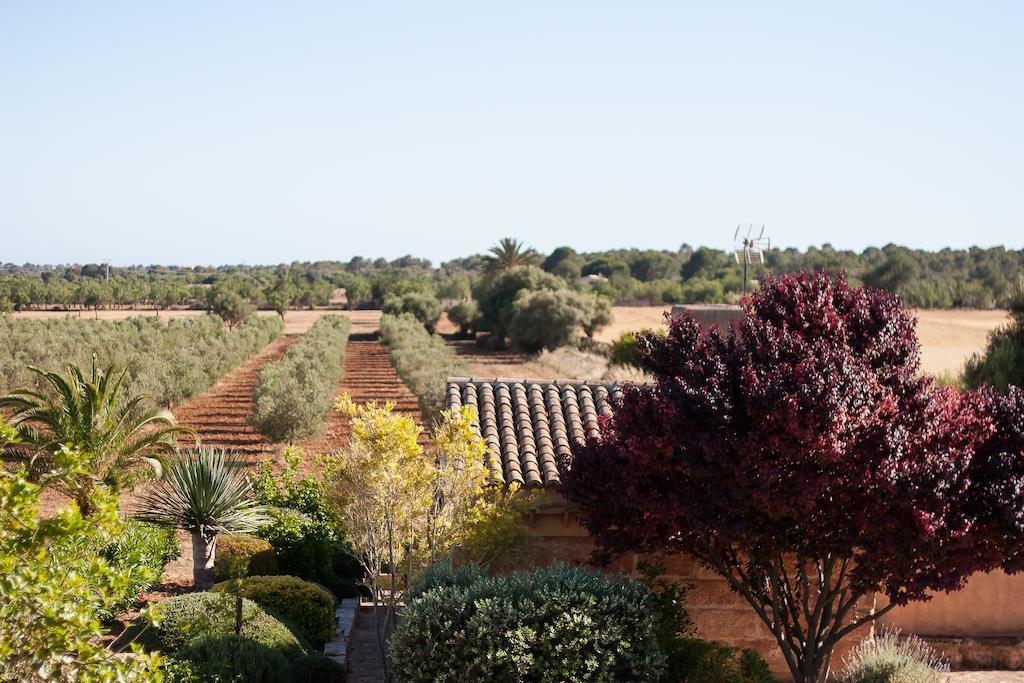 Finca Agroturismo Can Carro Campos  Eksteriør bilde